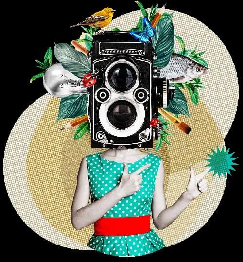 Web designer freelance - Francesca Cantale aka Thallion dev